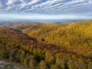 Stunning aerial shot of autumn foliage in Podgarić, Croatia showcasing vibrant fall colors on forested hills.